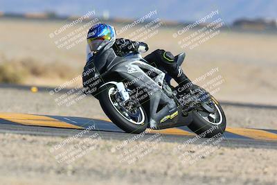 media/Jan-14-2024-SoCal Trackdays (Sun) [[2e55ec21a6]]/Turn 4 Tree of Life (155pm)/